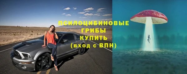 apvp Вязьма