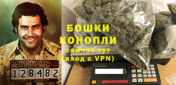 ПСИЛОЦИБИНОВЫЕ ГРИБЫ Вяземский