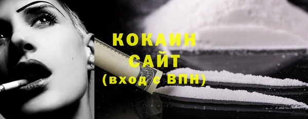 ПСИЛОЦИБИНОВЫЕ ГРИБЫ Вяземский