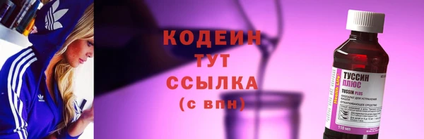 ПСИЛОЦИБИНОВЫЕ ГРИБЫ Вяземский