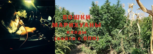 apvp Вязьма