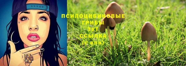 стафф Вязники