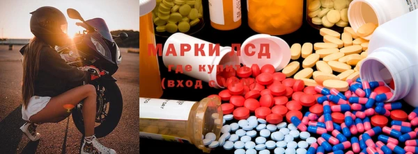 ПСИЛОЦИБИНОВЫЕ ГРИБЫ Вяземский