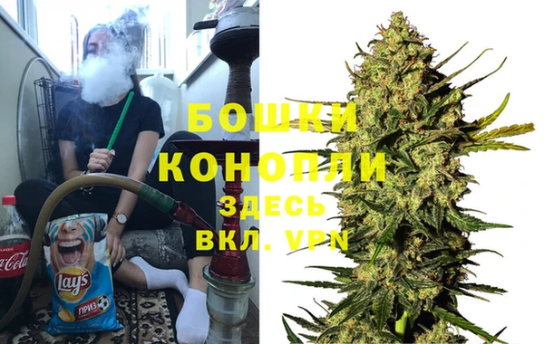 ПСИЛОЦИБИНОВЫЕ ГРИБЫ Вяземский